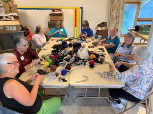 Pantry Partners Dane Co Image